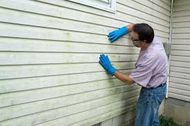 Best Siding Removal and Disposal  in Fredonia, AZ